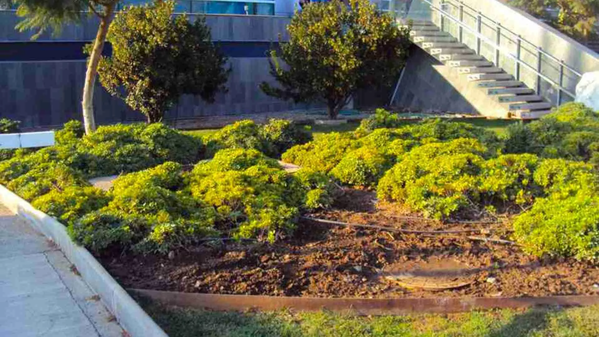 paisajismo jardines