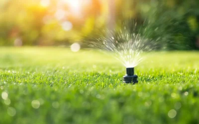 Sistemas de Riego Automatizado: Beneficios y Consideraciones