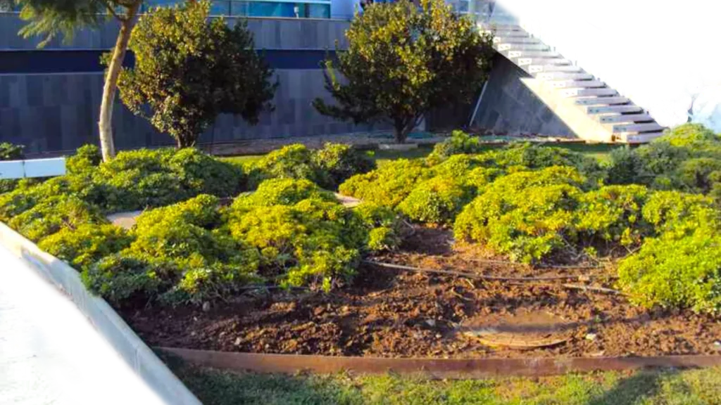 paisajismo jardines