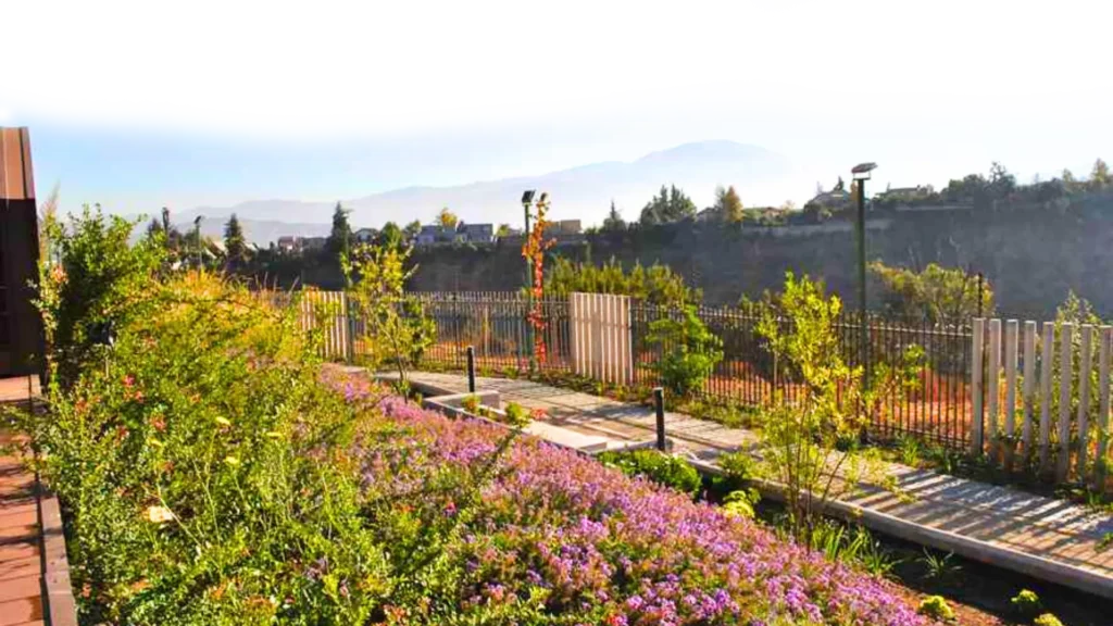 paisajismo jardines