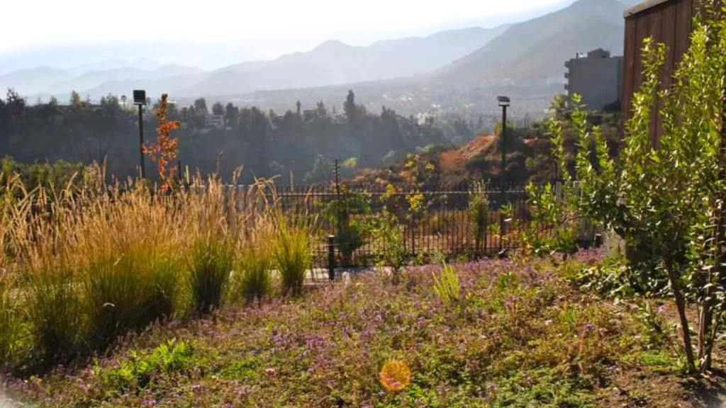 paisajismo jardines